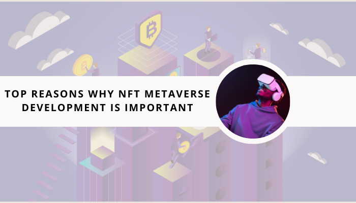 Top Reasons Why NFT Metaverse Development Is Important